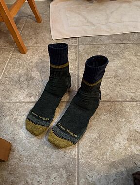 10026