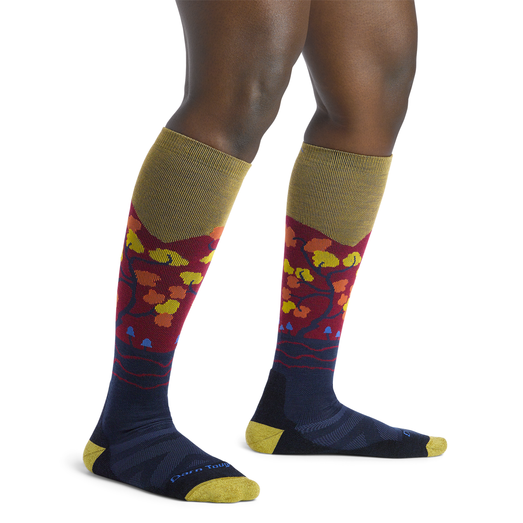 Women's Enchanted Over-the-Calf Midweight Ski & Snowboard Socks - Image 6