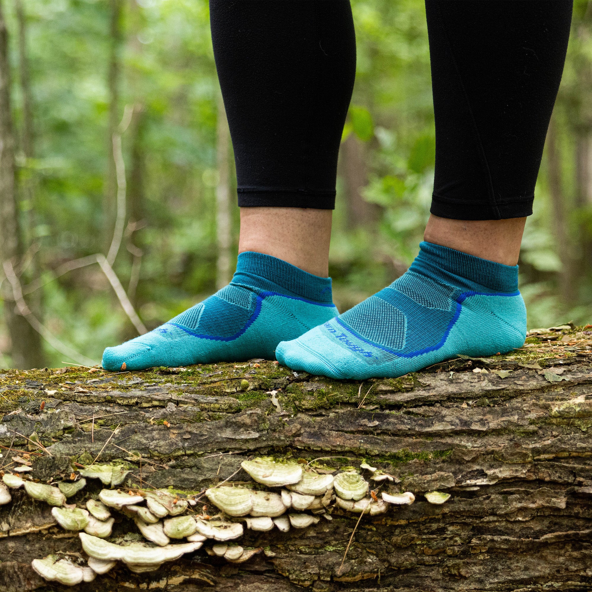 Women's Hiker Low-Profile 3-Pack - Image 7